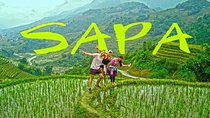 2D1N | Sapa - Cat Cat Village - Fansipan
