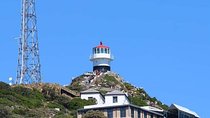 Full day Cape Peninsula Tour