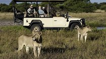 Cape Town Private, The Best Of Big Five Safari Tour