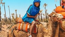 Camel Ride Marrakech 
