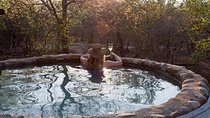 4 Day Katekani Lodge Kruger National Park Safari