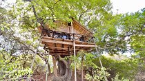 5 Day Lodge and Treehouse Kruger National Park Safari