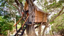 4 Day Lodge and Treehouse Kruger National Park Safari