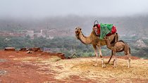 Desert Agafay and Atlas Mountains & Camel ride Day Trip From Marrakech