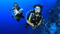 Scuba Diving for beginners – Hurghada