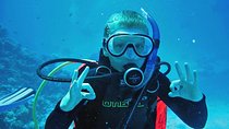 Private Full-Day Snorkeling Tour to Utopia Island from Luxor
