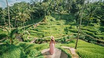 Private Ubud Highlight Full Day Tour with English Speaking Driver