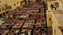 Day tour of Fes