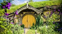 Auckland to Rotorua via Hobbiton Movie Set Tour - One Way 