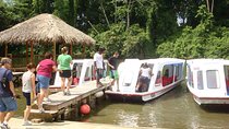 Nature History Tour. Tortuguero Canal & Cahuita National Park Shore Excursion