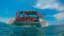 Tour de Snorkel y Catamarán en Puerto Morelos