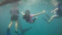 Cebu Oslob Whale Sharks and Sumilon Island Kawasan Falls Canyoneering