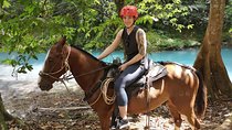 Combo Blue River Tubing-horse Back Riding & Chocolate Tour