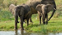 3 Days Murchison Falls Wildlife Safari
