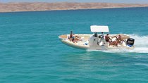 Private Speedboat Trip In Hurghada