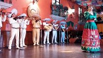 Live a Mexican Night in Plaza de los Mariachis