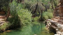Half Day trip To Paradise Valley From Agadir or Taghazout