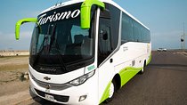 Private Airport Transfers in air conditioning buses