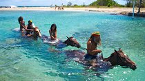 Braco Stables Horseback Ride & Swim Excursion from Ocho Rios
