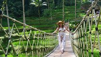 Ubud Full Day Tour - Costumeize Your Own Trip