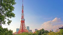 Freely set up plans Guided Private Tours in Tokyo