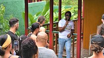 Bob Marley's Nine Mile Day-Trip with Admission & Guided Tour from Runaway Bay 