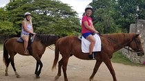 Horseback Ride and Swim Excursion from Kingston