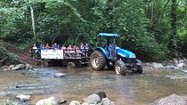 Jungle & River Wagon Expedition. Puntarenas Shore Excursions
