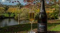 Small-Group Kumeu Wine Country Tour with Wine Tastings & Lunch
