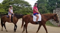 Braco Stables Horseback Ride and Swim Adventure from Montego Bay