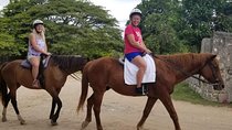 Sand n Saddle Horseback Ride & Swim Tour from Falmouth