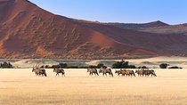 10 Days Namibia key highlights Lodging