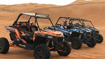 Dune Buggy Dubai for Group