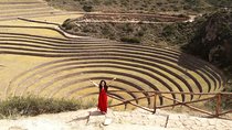 Maras Moray and Salt Mines With Alpaca Farm Private Tour 