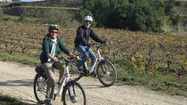 Electric Bicycle Route And Wine Tasting