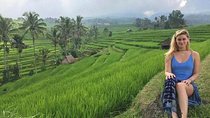 Private Full-Day Tour Jatiluwih Rice Terrace and Tanah Lot Temple