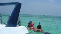 Speedboat tour in Cancun with snorkel and sightseeing in manglars