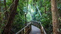 Full day hiking with wild life watching at Manuel Antonio Park from San Jose