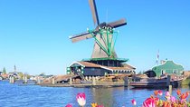 Volendam & Zaanse Schans PrivateTour: ijmuiden Felison cruiseship