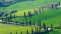 Chianti Hills Tour:Discovering Tuscany's Wine Heart from Florence