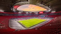 FC Bayern Munich Allianz Arena Tour and Panoramic Munich Tour