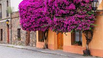 Day Tour in Colonia del Sacramento