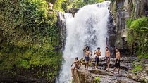 Ubud Full Day Tour