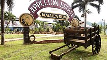 Appleton and Y.S Falls Tour from Negril Hotels