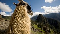 The Inca Trail: 4-Day Trek to Machu Picchu