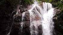 Jungle Trek + Waterfall + Batu Caves