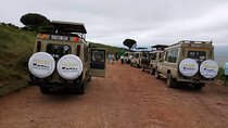 5 Days Wildebeest Migration Safari