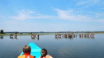 4 Days Special Lake Naivasha - Masai mara safari ( minimum 2 persons)