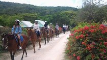 Horseback Ride Adventure from Ocho Rios