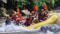Rafting Swing Monkey Forest And Waterfall Tour All Inclusive